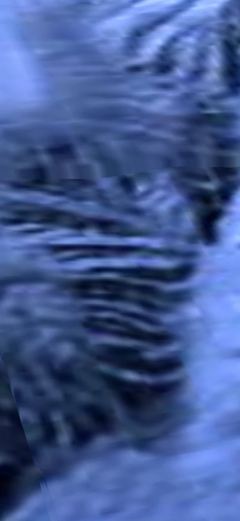 Close view of a ribbed, textured body on the seafloor.