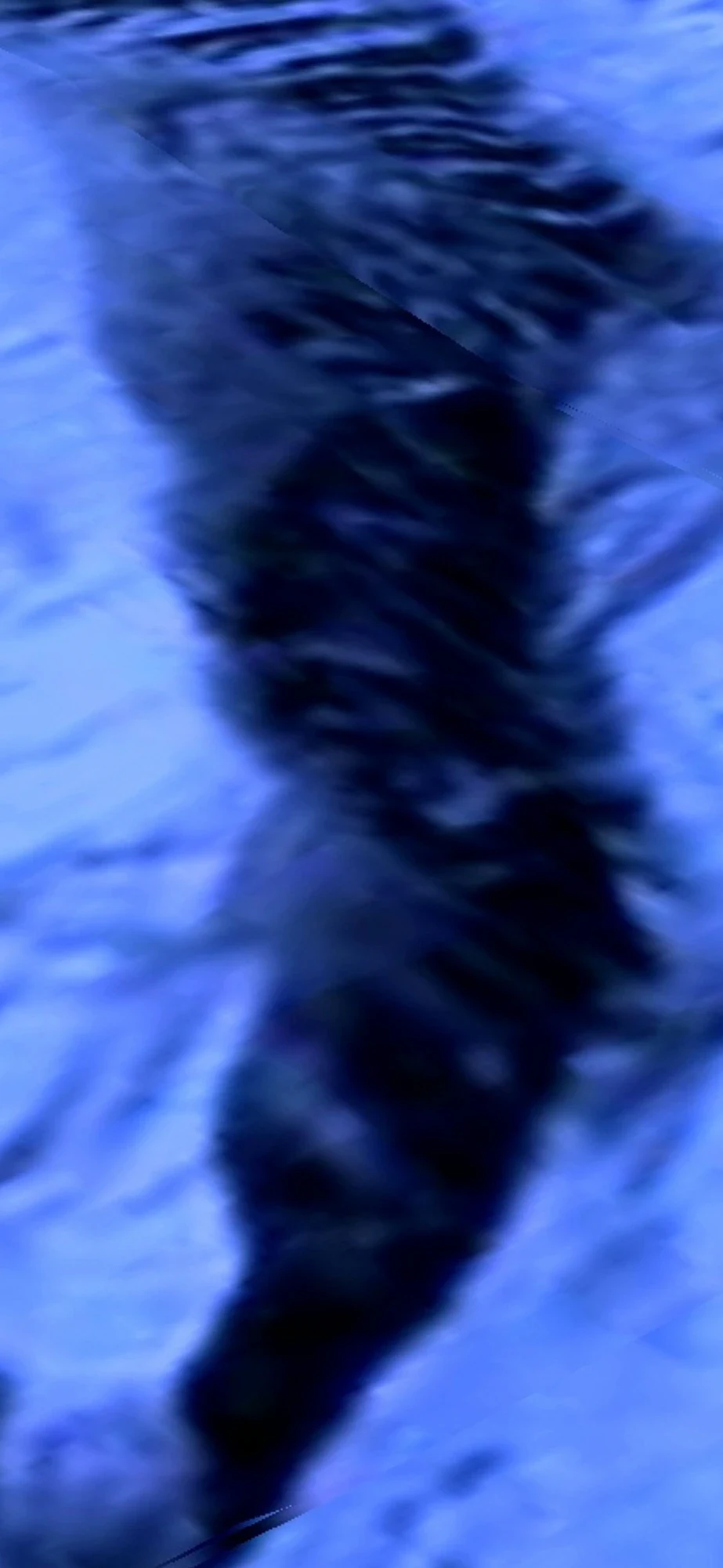 A long dark body lying on the seafloor — the Perceiver reads it as an occupied abode.