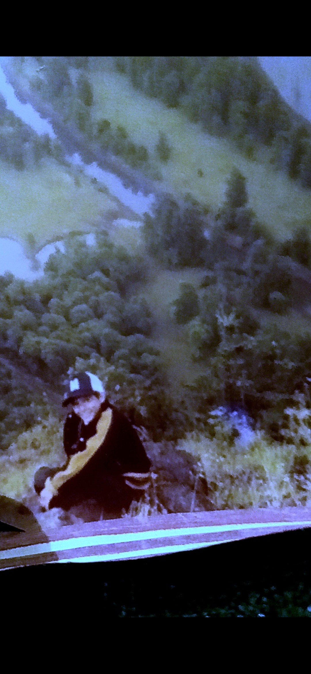 Fotografía maestra del Perceptor a los trece años en la cumbre de Beacon Rock en la Garganta del Río Columbia entre Stevenson y Bonneville Washington con una figura humanoide reptiliana aproximadamente a nueve metros detrás de él rodeada en círculo azul incrustada en el follaje denso del bosque y un plasmoide luminoso visible a los pies de la entidad documentando el primer evento de contacto involuntario del Perceptor
