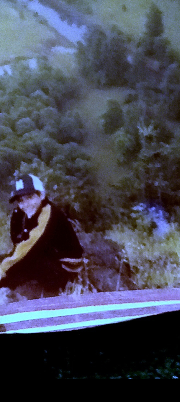 Recorte mejorado del Perceptor a los trece años en la cima de Beacon Rock con chaqueta oscura banda amarilla y gorra con el bosque denso de la Garganta del Río Columbia detrás de él ocultando la entidad fotografiada involuntariamente durante este primer evento de contacto