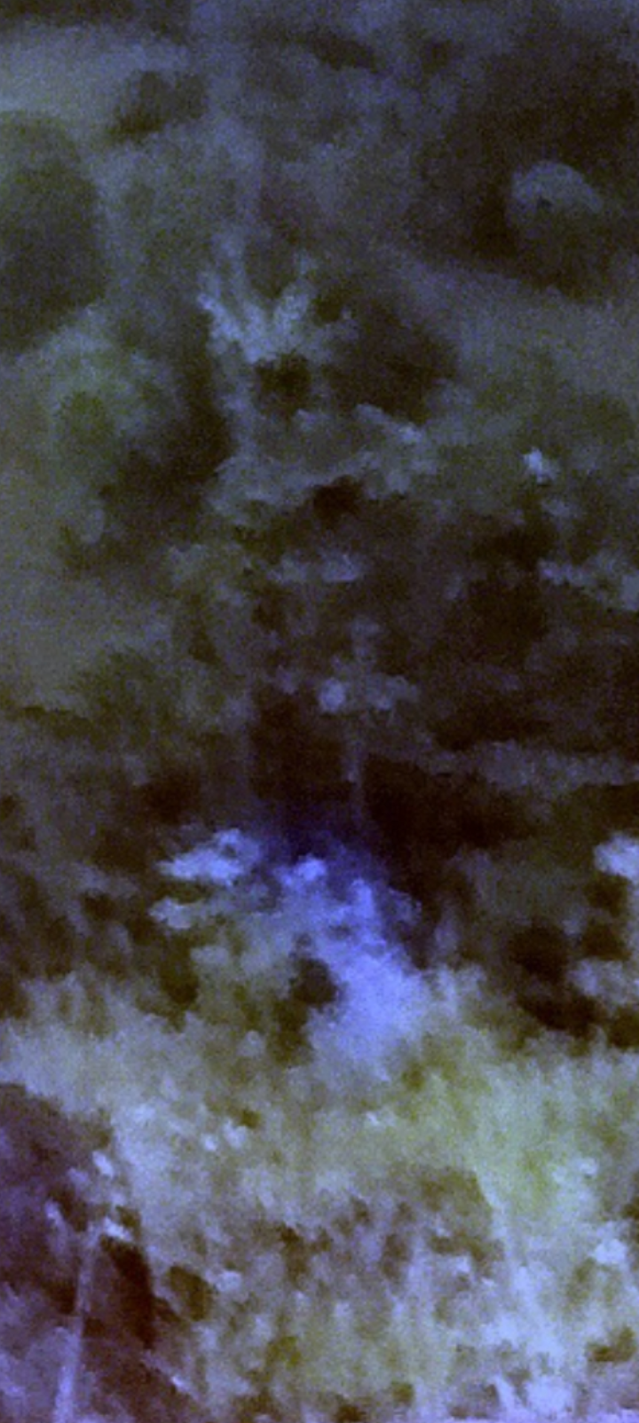 Recorte estrecho mejorado del Perceptor a los trece años en la cumbre de Beacon Rock confirmando la identidad del sujeto y la ubicación icónica donde se documentó fotográficamente el primer contacto reptiliano involuntario