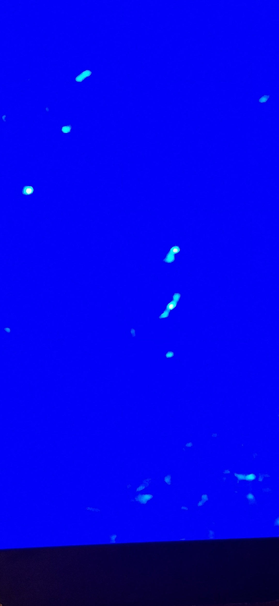 Aerial view of the Columbia River corridor processed through the Perceiver's deep blue filter pass showing at least seven discrete luminous signatures resolving across the frame including a paired elongated stacked formation in the center right of the image at varying depths and positions in the water column documenting multiple underwater objects operating simultaneously in the same operational zone at the time of capture