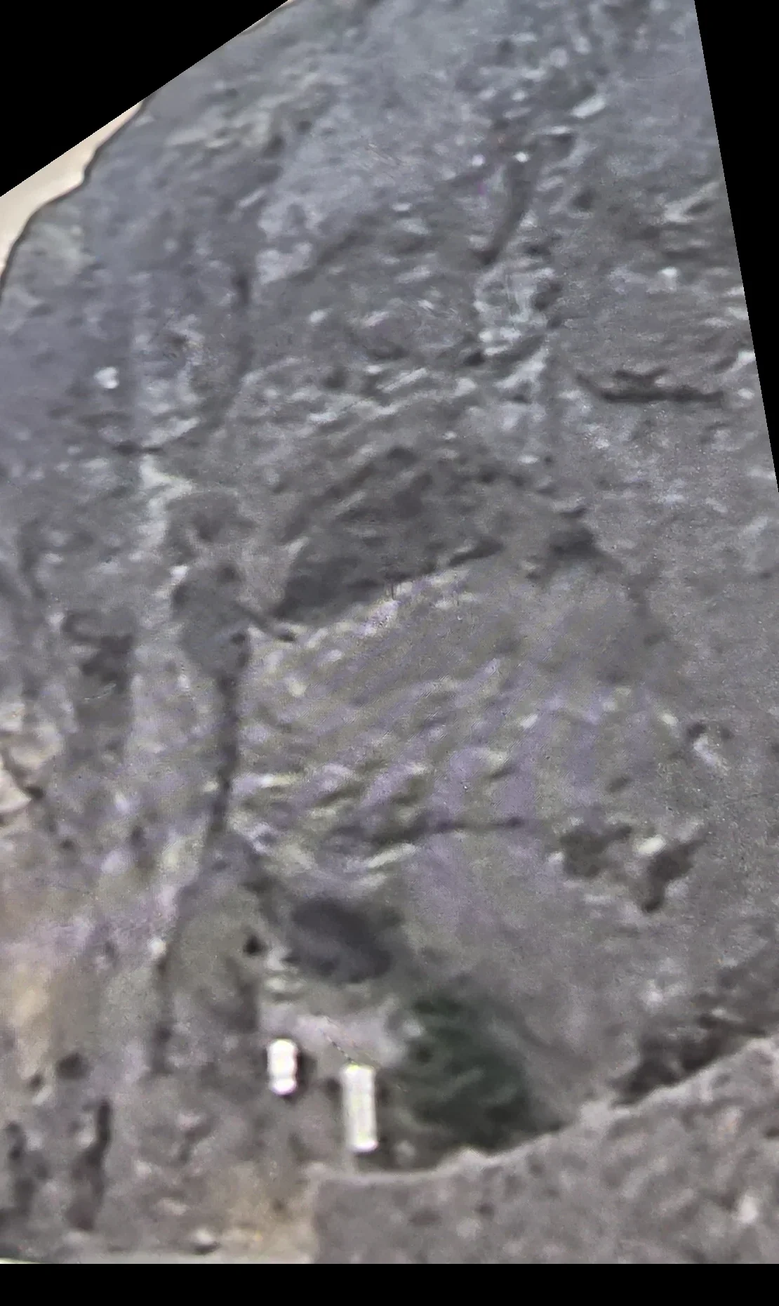 Un-annotated screen capture of publicly available satellite imagery, oriented upright with the face profile looking left.