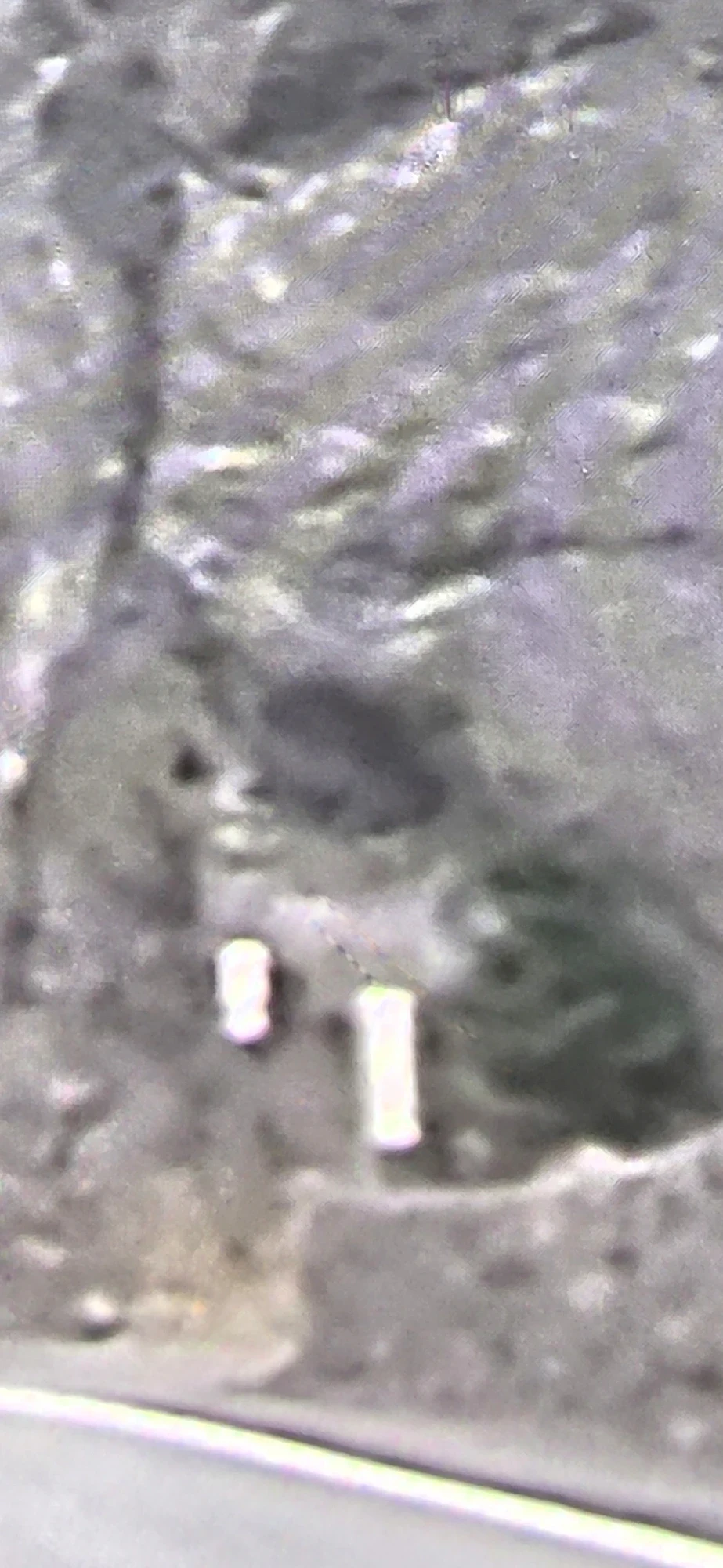 Frame 2 — Animal-form head over the pair in the aperture