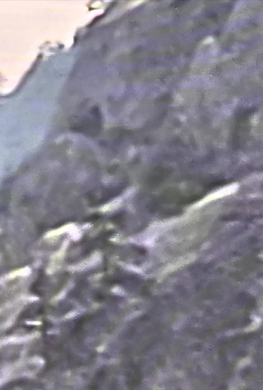Frame 3 — Extreme close of the head/snout terrain texture