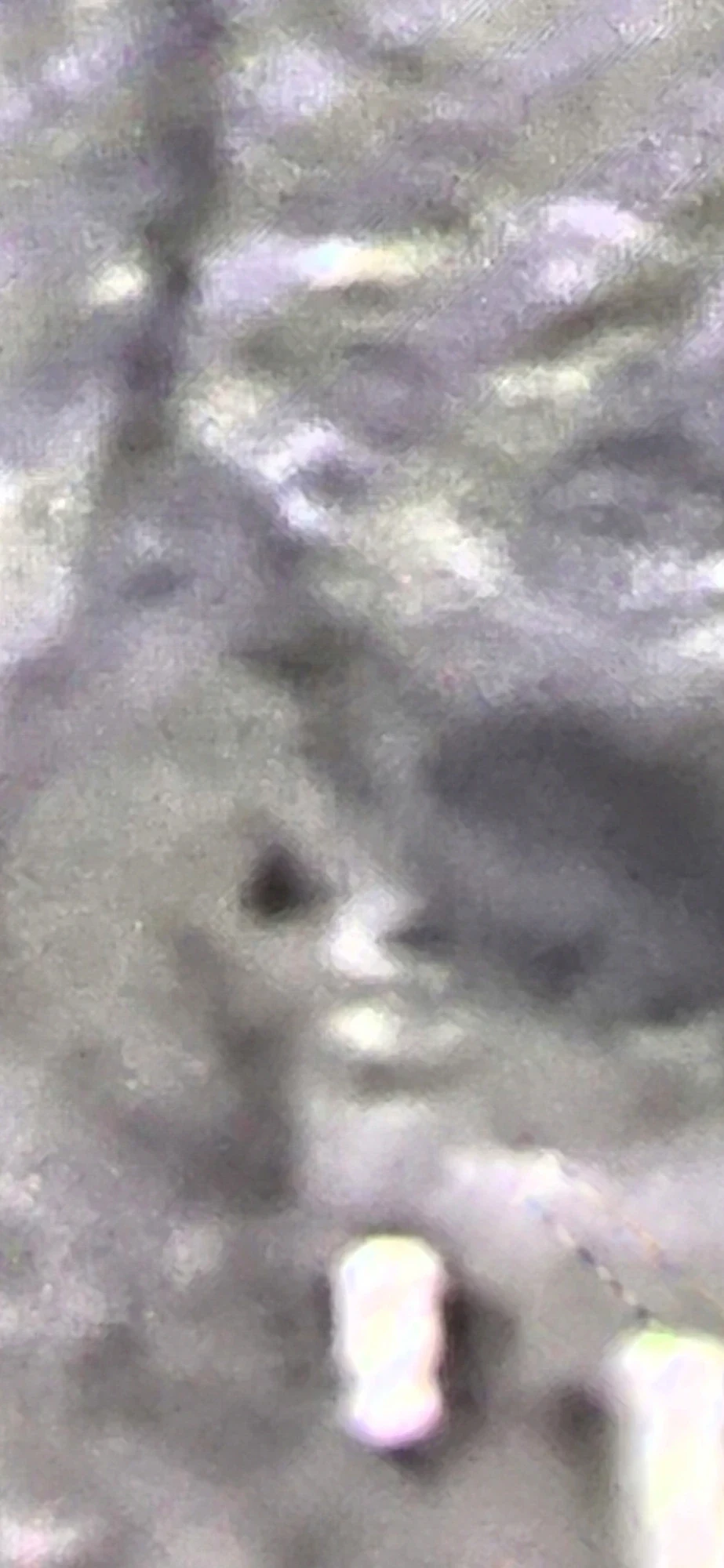 Frame 1 — Eye + snout profile above the two figures