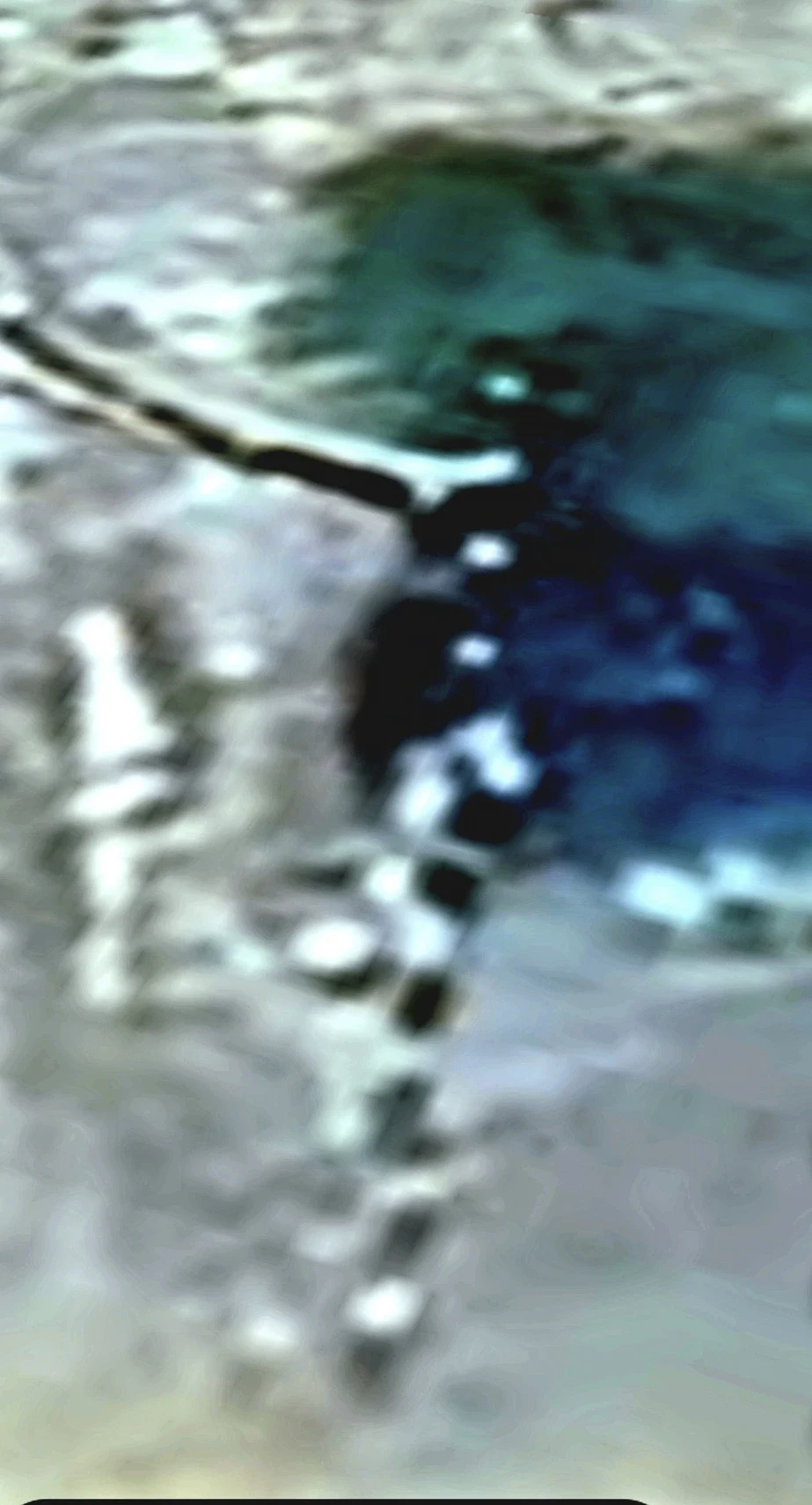 Screen capture of publicly available coastal satellite imagery. A large segmented dark aquatic creature runs vertically from the shallows into deeper water — distinct dark body sections separated by lighter gaps along the shoreline transition.