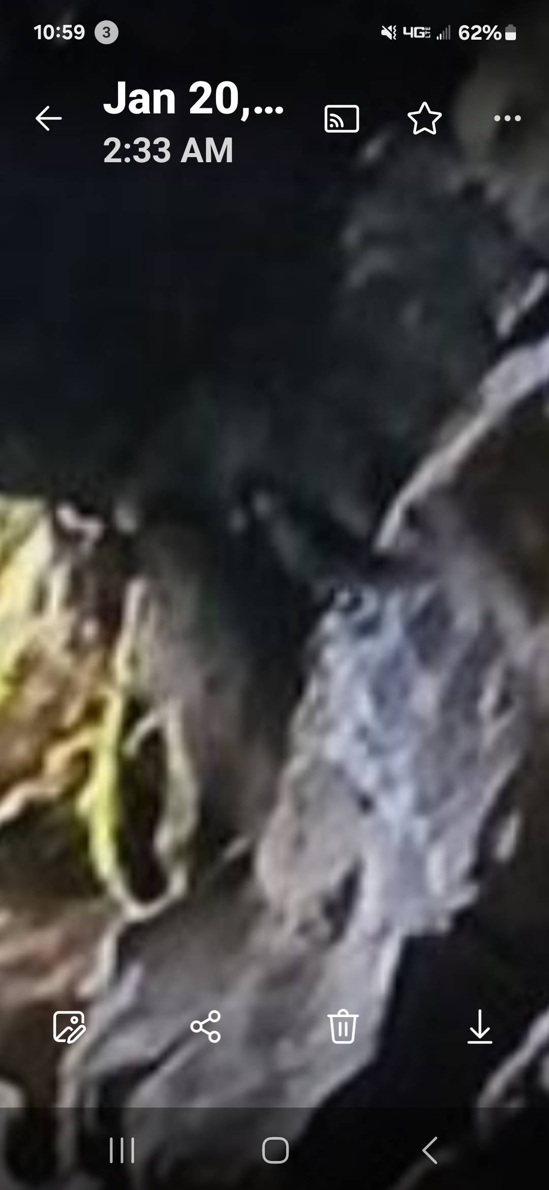 Bird-like portal sentinel of unknown species not native to Oregon or Washington interdimensional guardian