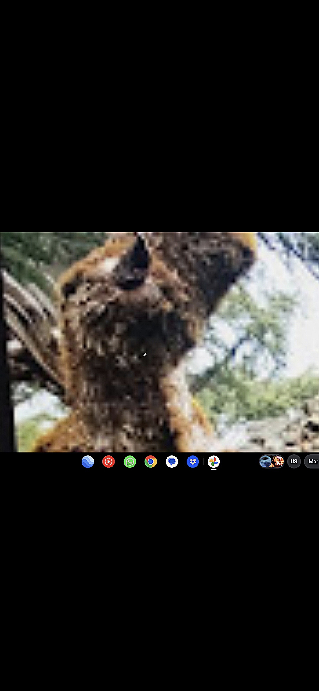 Reptilian guardian entity face close-up portal sentry interdimensional being