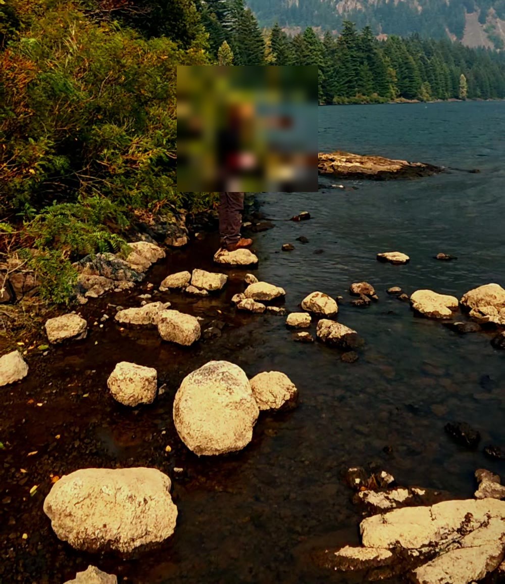 Companion witness Barry stands at the water's edge on the collection rocks, arm extended toward the exact spot where the witches' jelly was recovered - face blurred for identity protection