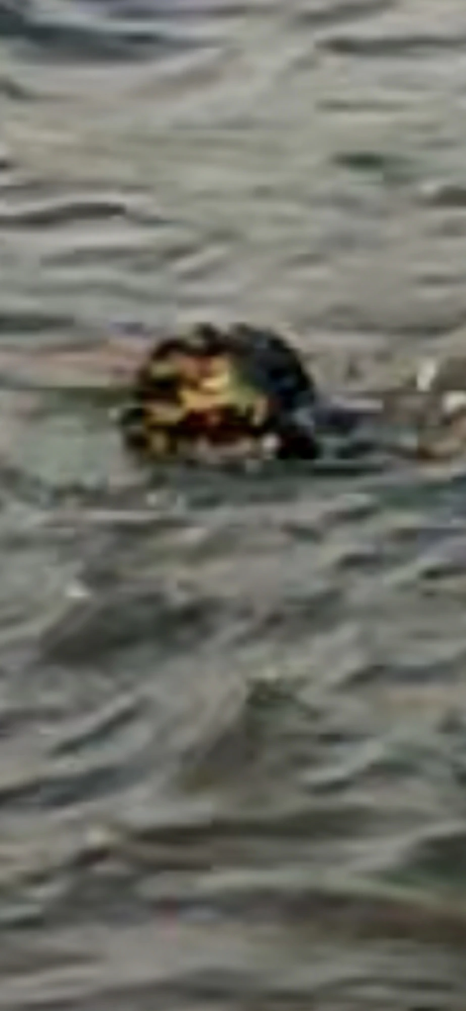 Extreme zoom on a dark rippled Columbia River water surface with subsurface dark masses and scattered floating specks
