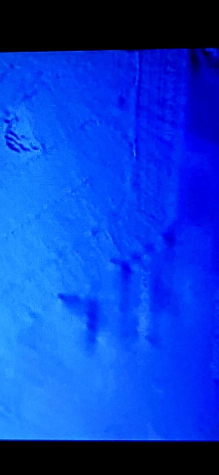 Google Maps pinned satellite anchor view of Mazatlán Mexico with 5000 meter scale bar visible providing geographic reference for the Pacific corridor capture series including the hexagon seafloor installation and the offshore face