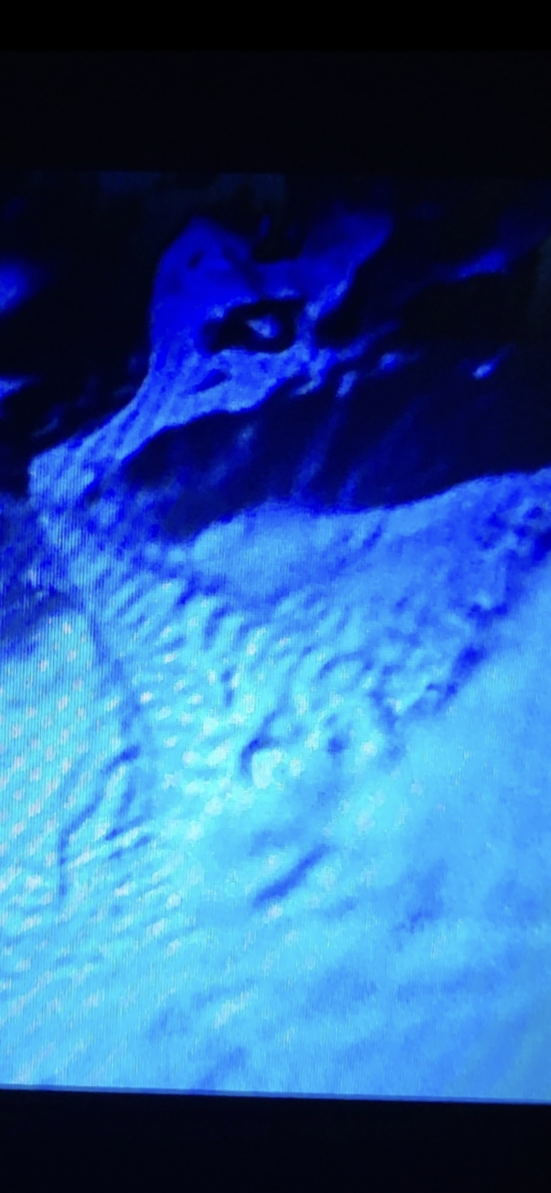 Wide bathymetric overview frame rendered in deep blue with light blue and white ribbed contour patterns across the lower portion of the image and darker amorphous shapes across the upper portion suggesting a broad submerged terrain in the Mazatlán Pacific corridor