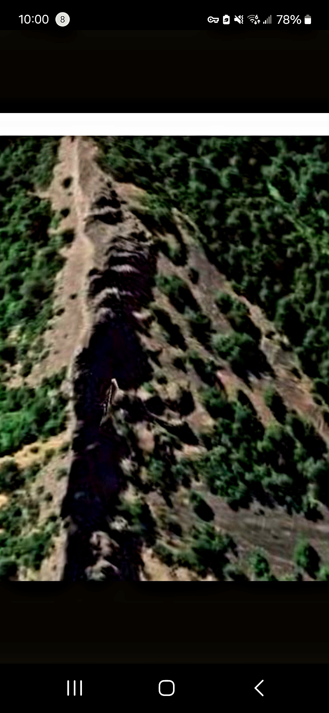 Wider Google Earth contextual capture of the Mitchell Point Oregon coordinate showing an extended ridge feature with the parked craft silhouette running along the spine of the ridge