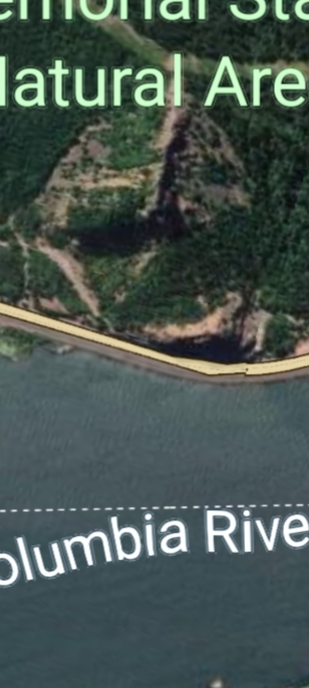 Google Maps satellite aerial of Mitchell Point Oregon Columbia River Gorge labeled Memorial State Natural Area with the wooded basalt headland shown against the Columbia River below the rock formation arranging when viewed from altitude into a discernible non-human facial geometry that the Perceiver reads as the alien face first published in Origin The Perceiver