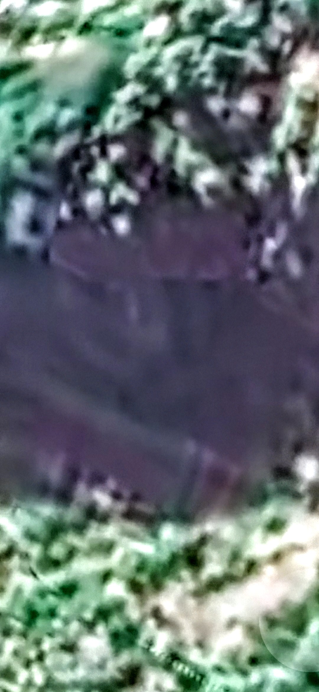 Closer infrared zoom on Mitchell Point Oregon by the Perceiver with the rock-face geometry rendered in purple and green hues showing a faint dark recessed shape that the Perceiver reads as the alien face eye beginning to resolve out of the camouflaged surface