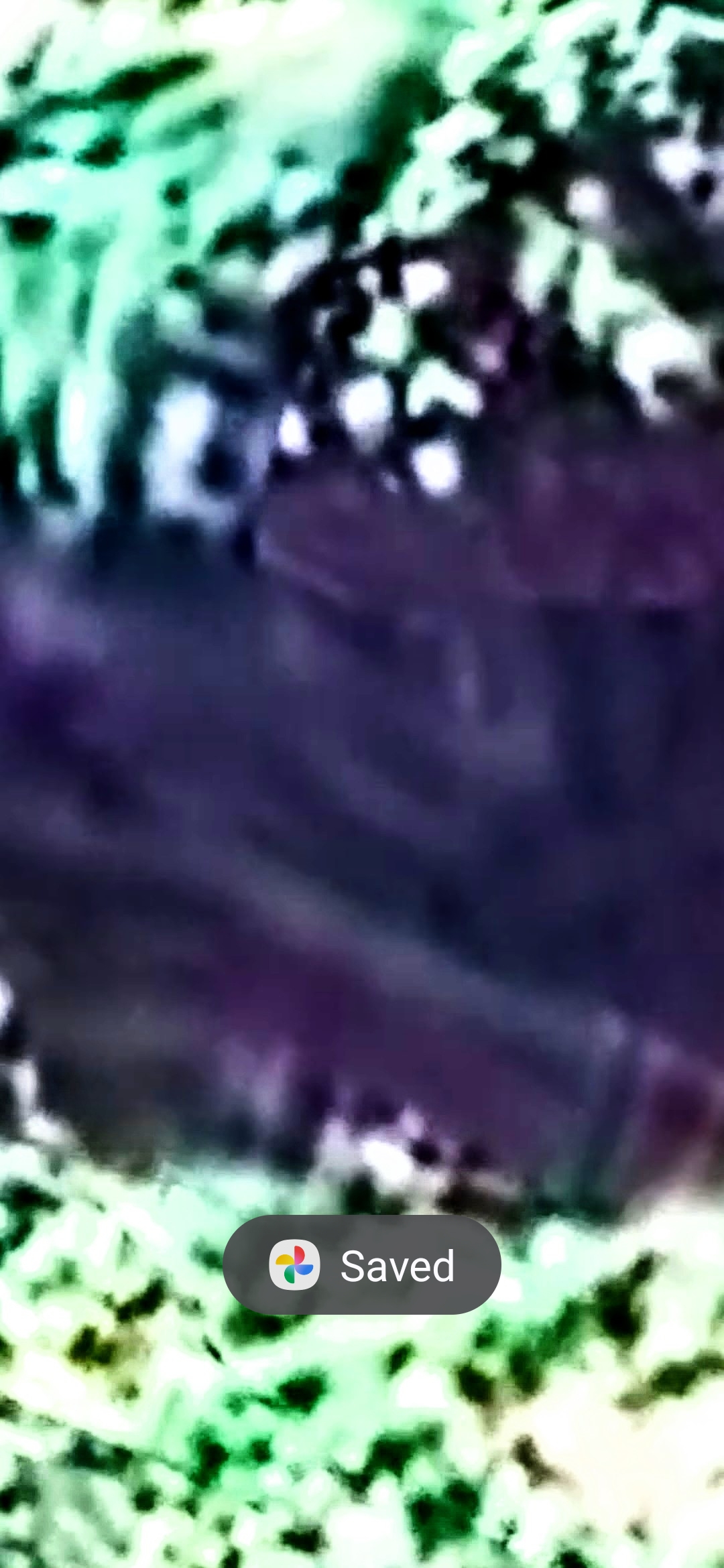 Final infrared and filter pass on Mitchell Point Oregon by the Perceiver with the rock-face geometry rendered in saturated purple and green hues clearly resolving the dark recessed eye and the adjacent entrance opening into the formation invisible to passing motorists on Interstate 84 but visible through investigative infrared photography