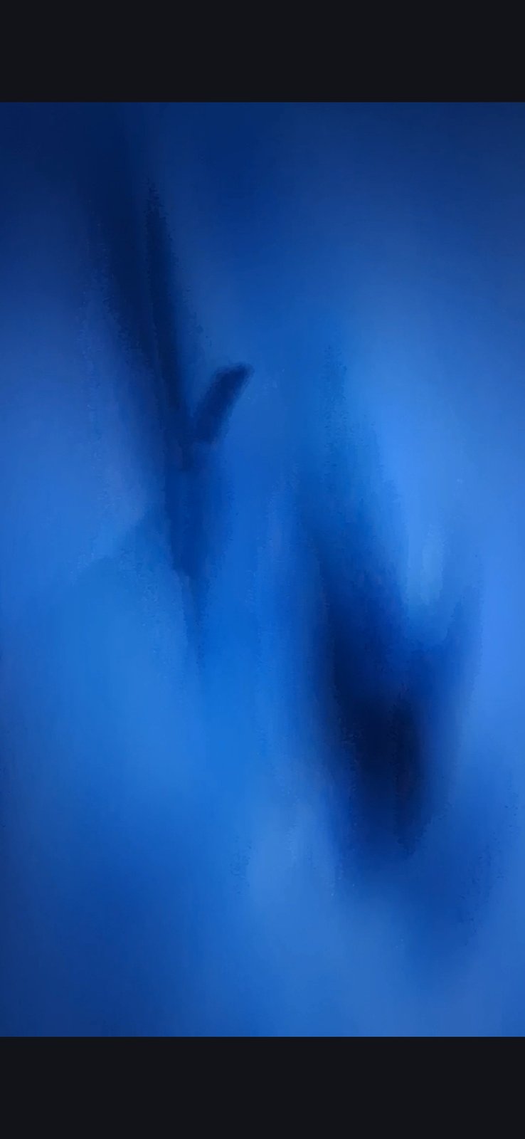 Pacific underwater installation showing a bifurcated dual-shaft outline with two parallel descending dark forms suggesting twin towers or twin access points within the larger installation