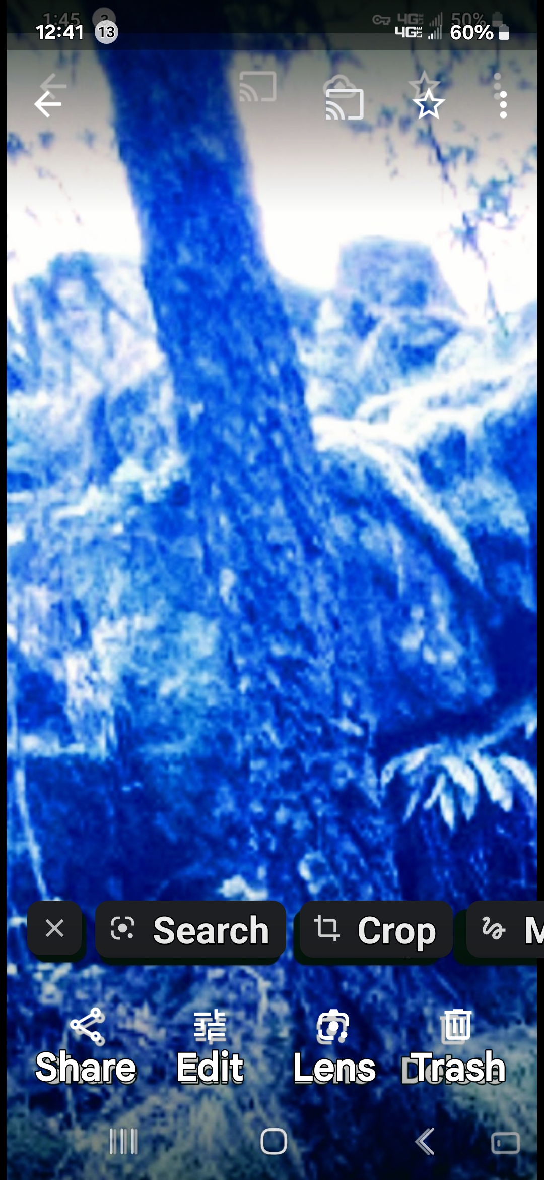 Infrared blue-filter capture of a tree near the rock bridge portal showing a watcher entity concealed in the bark and foliage only visible through infrared imaging