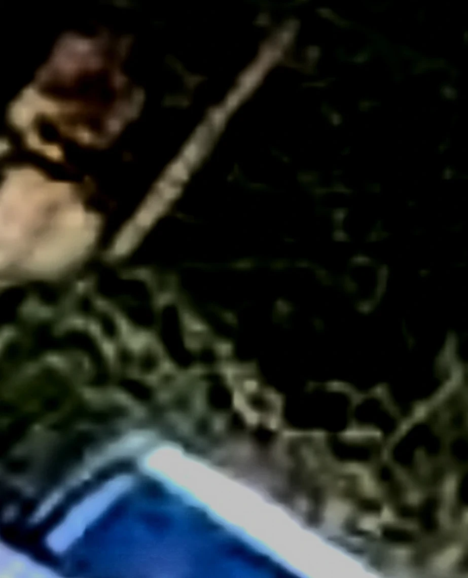 The follow unit — white pickup, 0:14 into the pursuit clip · goat-faced passenger visible