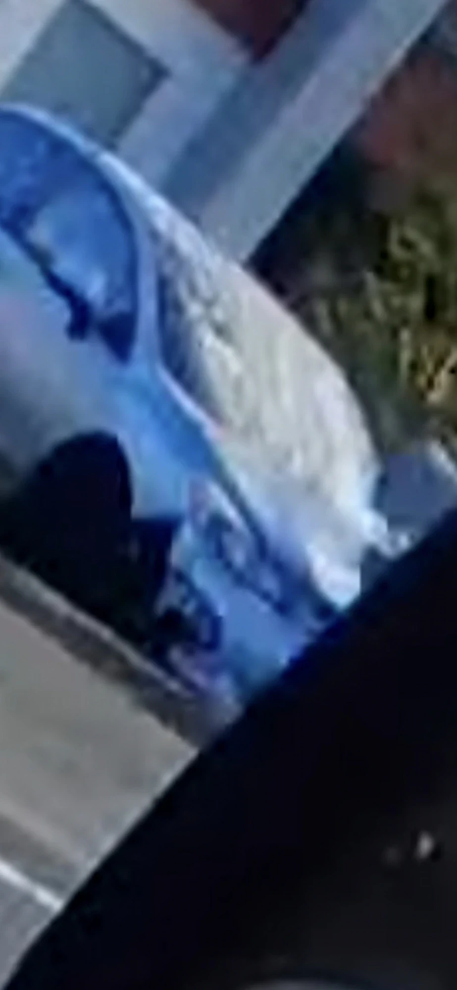 Dark head-and-shoulder silhouette against the blue car