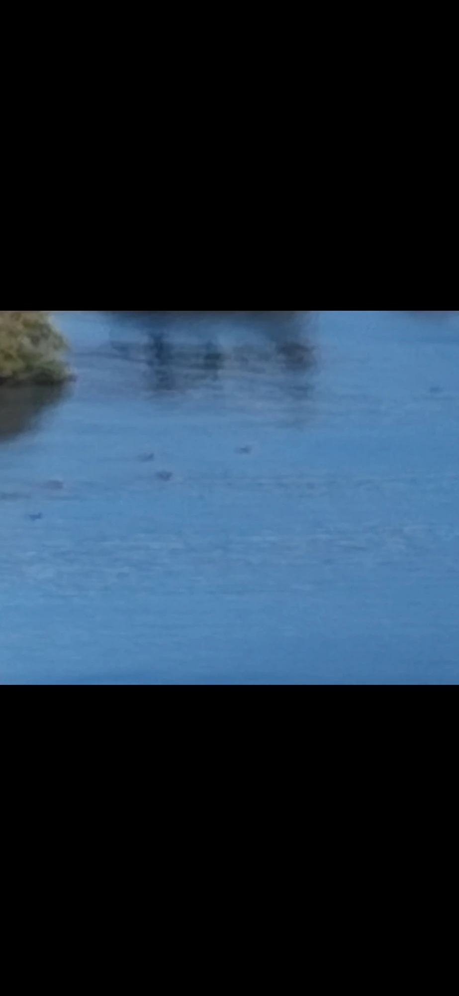 Ruthton Park still 1 — Columbia River water surface showing embedded dark forms distributed across the deep blue channel