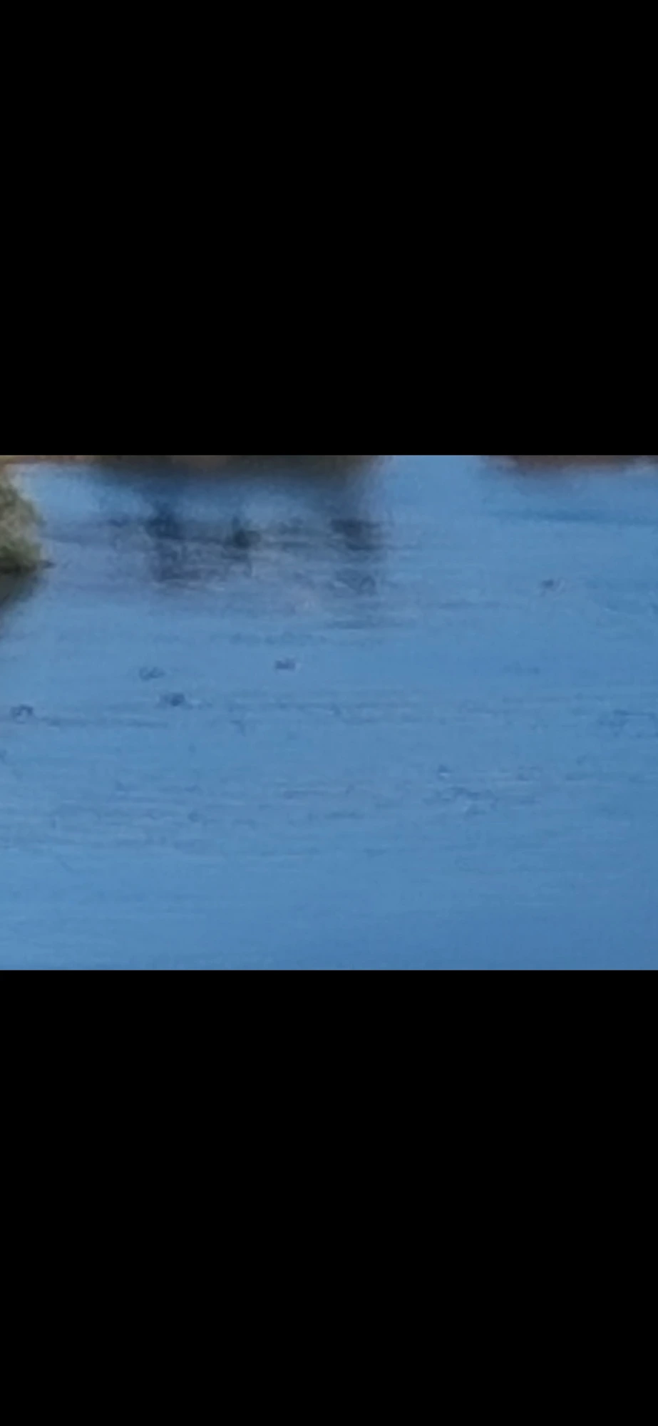 Ruthton Park still 2 — Columbia River water surface showing embedded dark forms distributed across the deep blue channel