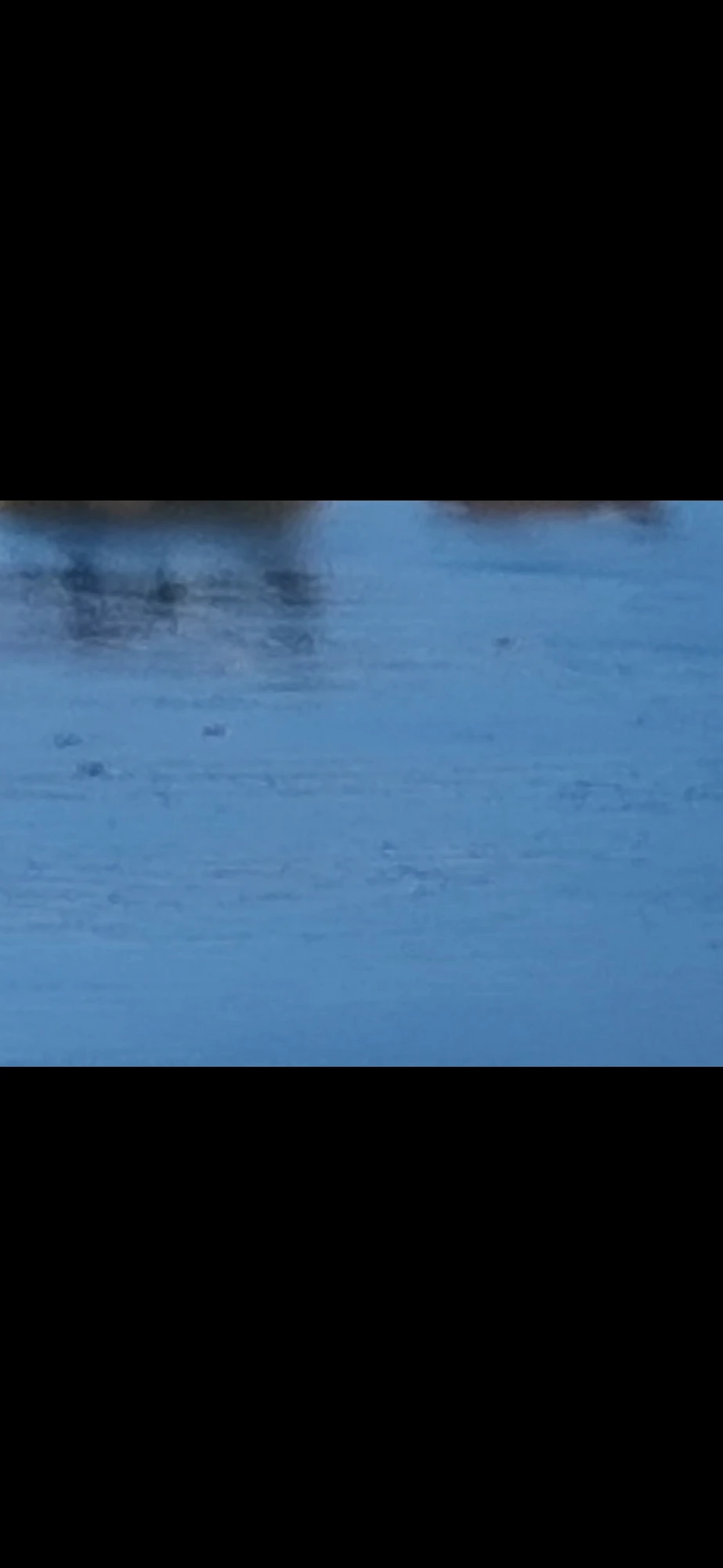 Ruthton Park still 3 — Columbia River water surface showing embedded dark forms distributed across the deep blue channel