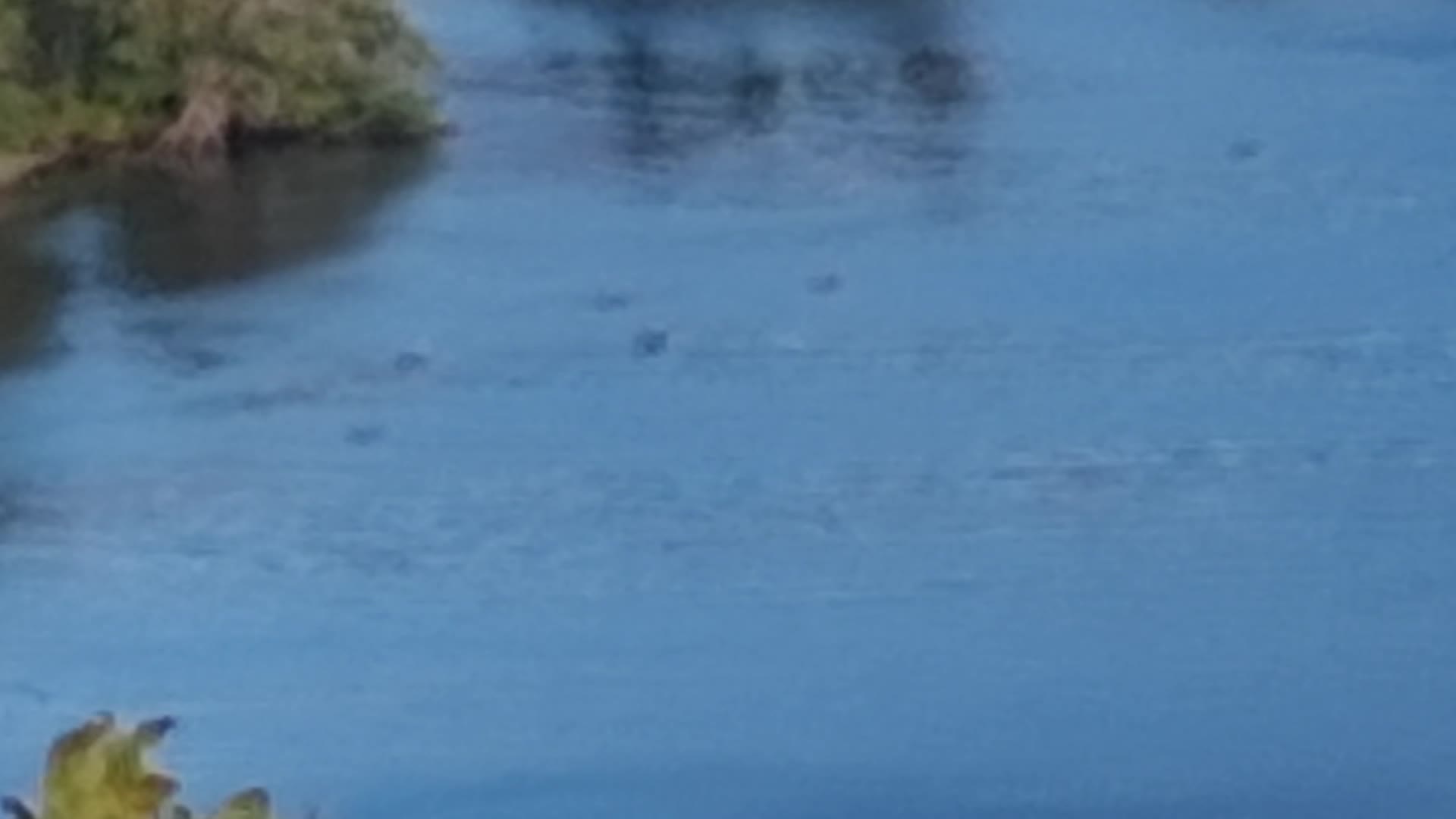 Overhead view from Ruthton Park showing the Columbia River water surface with wispy horizontal streaks and multiple small dark specks embedded across the surface