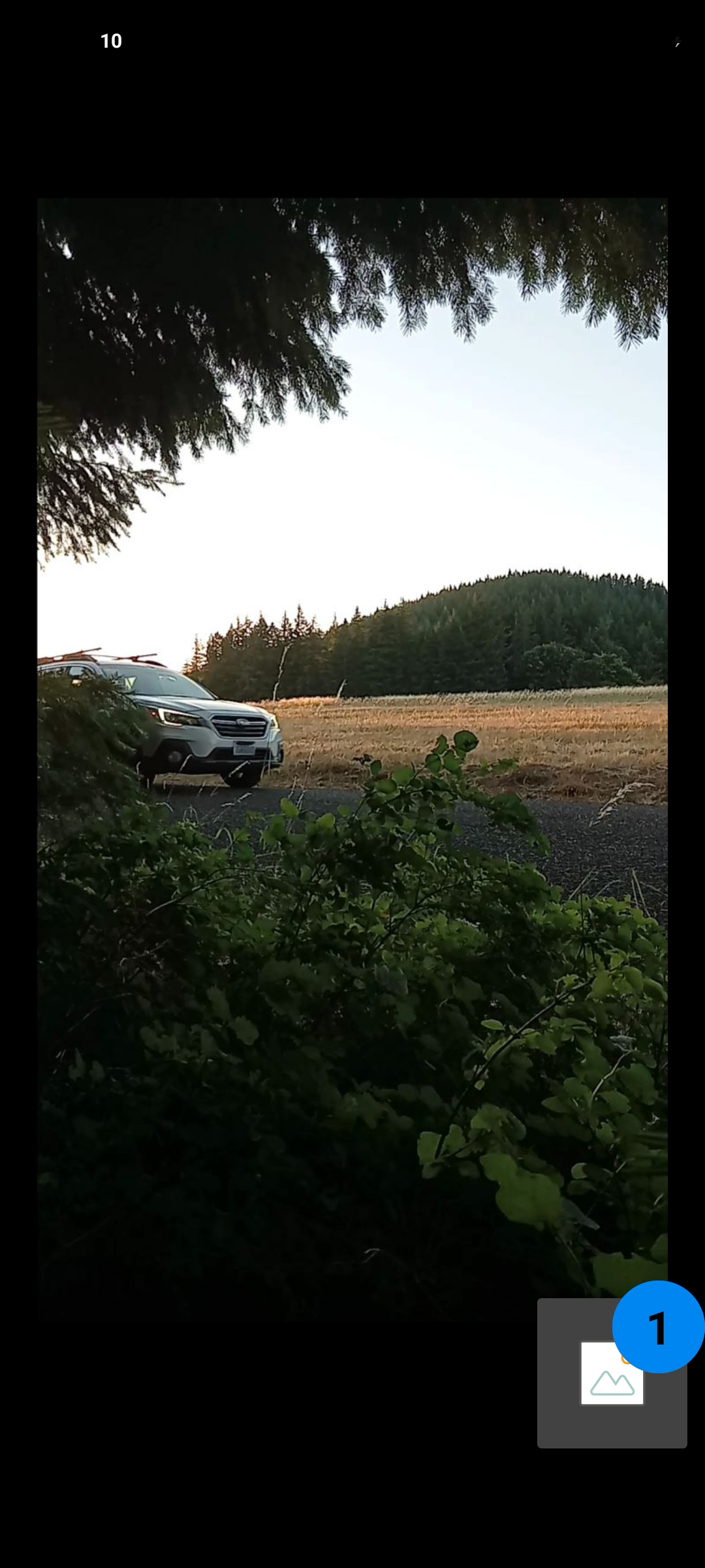 Surveillance location Underwood Washington where reptilian entity was casing area