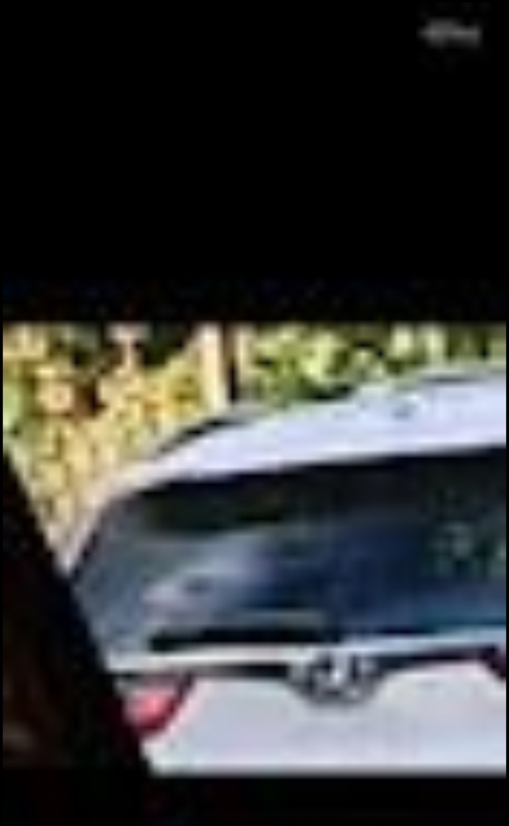 Reptilian female creature with intelligent alien animal in the back seat of a Subaru following Commander Kelso the Perceiver on Highway 14 Washington State Columbia River corridor