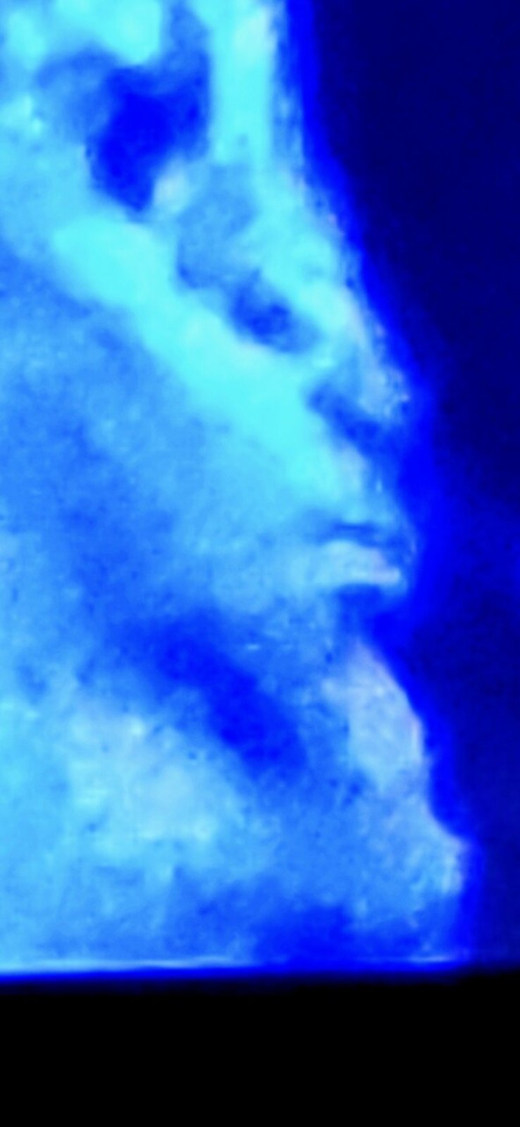 Extreme zoom rendering of the underwater field in the Sea of Cortez north of Mazatlán toward La Paz resolving into a humanoid alien facial profile with forehead eye socket nose ridge lips and chin visible in side profile against a cyan luminous background