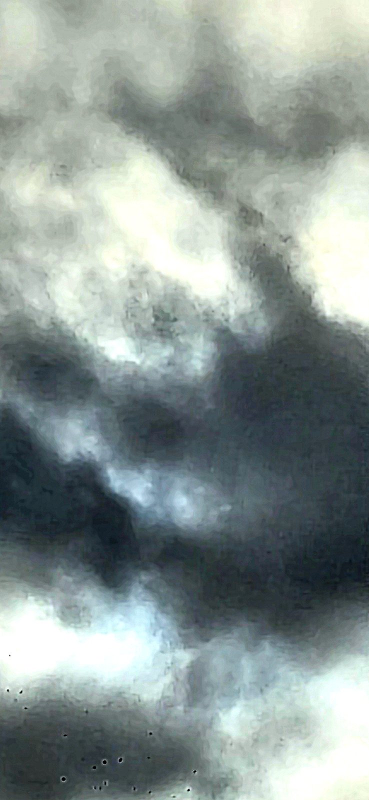 Desaturated grayscale macro close-up of the Stevenson Washington cloud field showing soft cumulus volumes and a row of small dark particles concentrated near the lower portion of the frame against the cloud underbelly