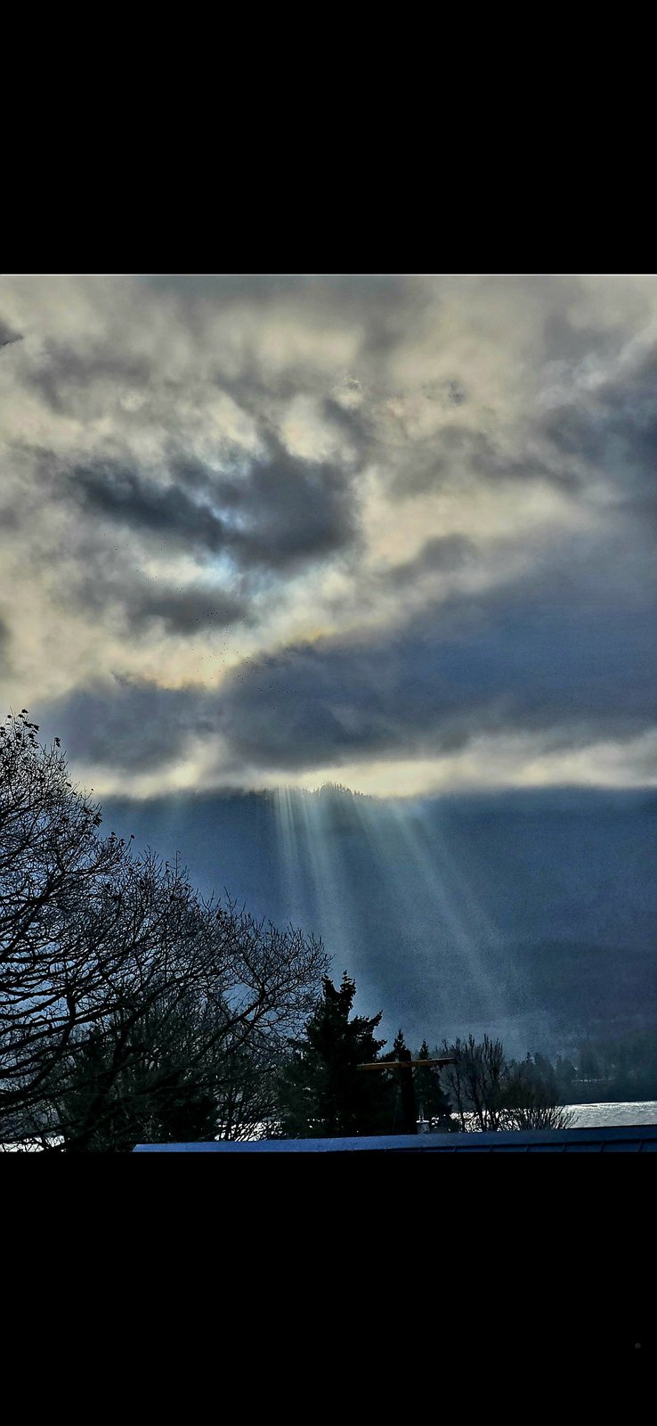 November 2025 wide field capture from the Washington side of the Columbia River Gorge looking across to Oregon side mountains showing layered cloud bank with multiple columnar crepuscular sun rays descending toward the river surface and tree foreground silhouetted in the lower frame