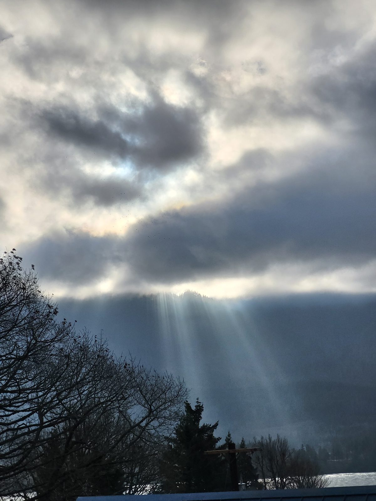 Zoomed view of the same cloud bank over the Columbia River near Stevenson Washington showing dozens of small dark discrete particles dispersed within and against the illuminated cloud face
