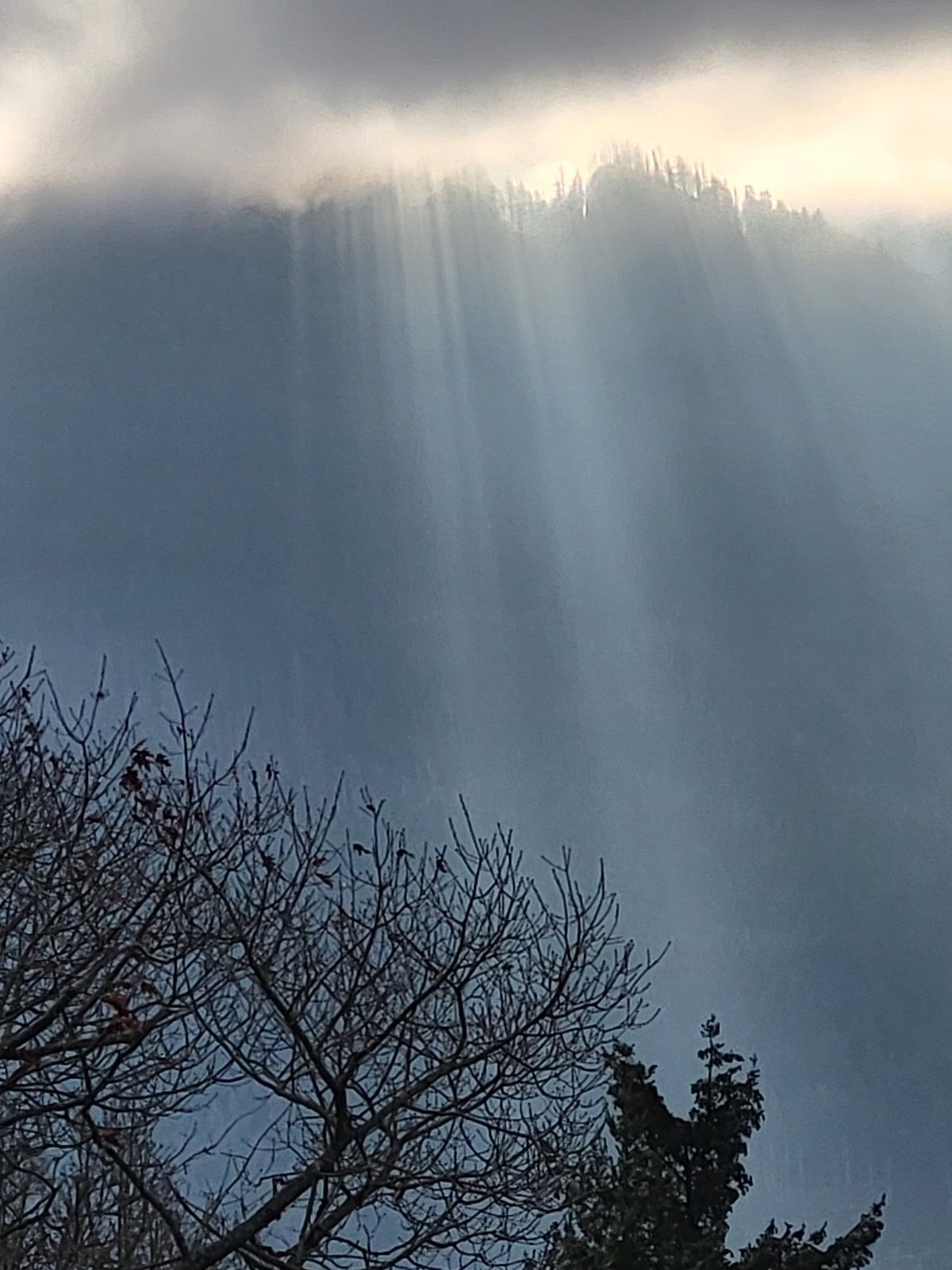 Second zoomed capture of the cloud face over the Columbia River showing additional dark discrete particles concentrated near the bright sunlit core of the cloud
