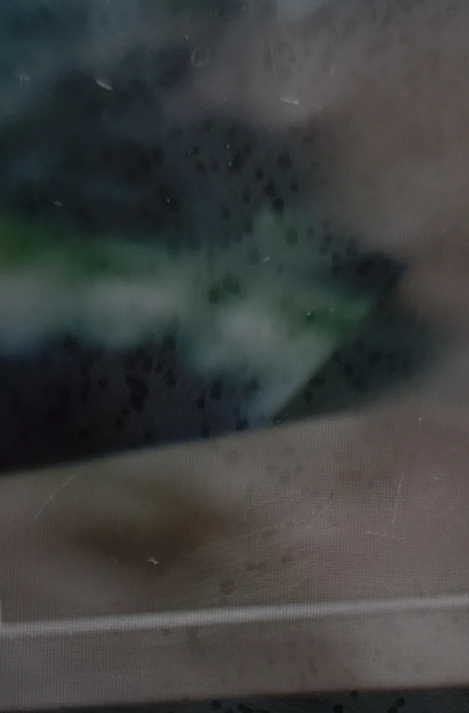 Field capture of the same parked green kettle craft — moving-crystal aperture now in the closed state, the disc has settled at an angle inside the depression, dark green surface texture visible