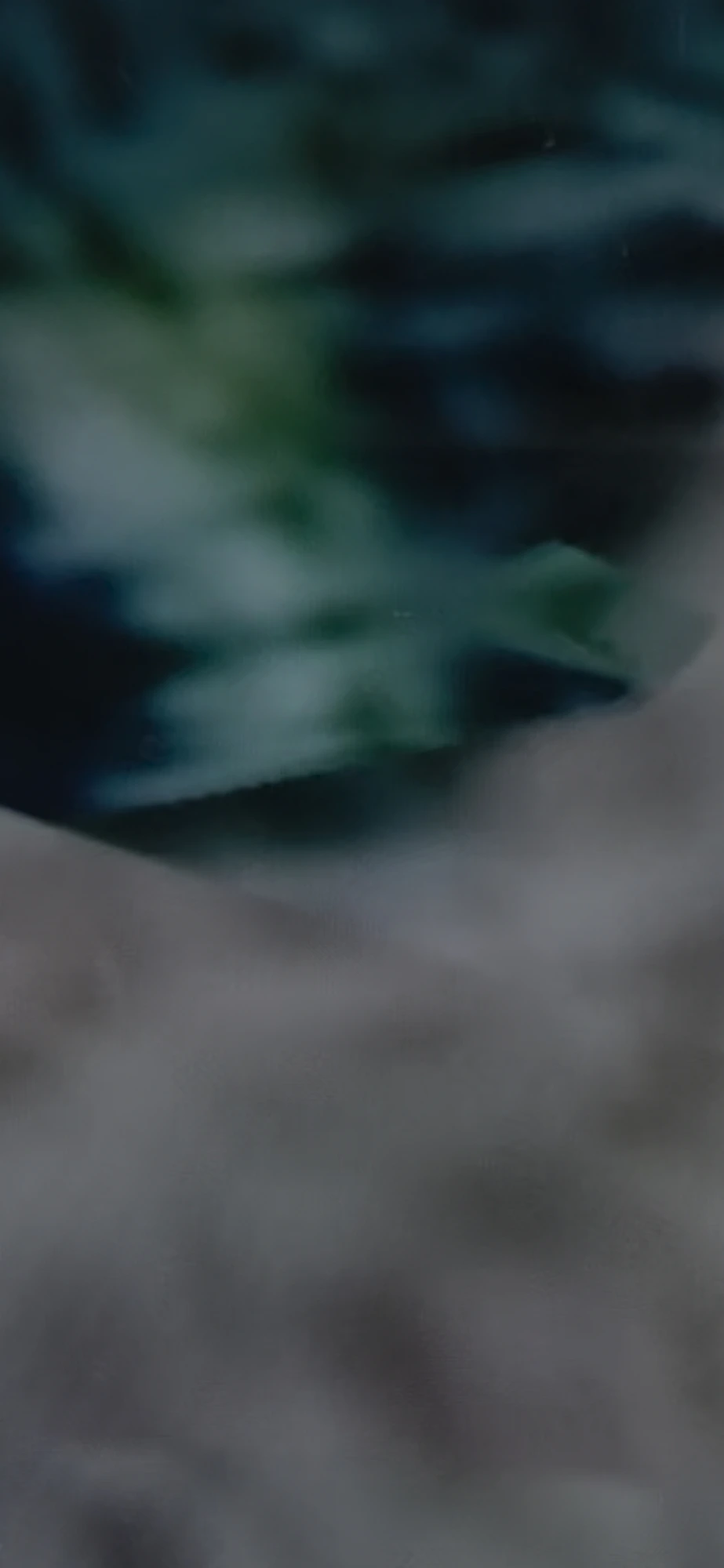 Field capture of the parked green kettle-shaped craft at the Stevenson coordinate — moving-crystal aperture in the open state, green circular disc partially visible against dark forest background