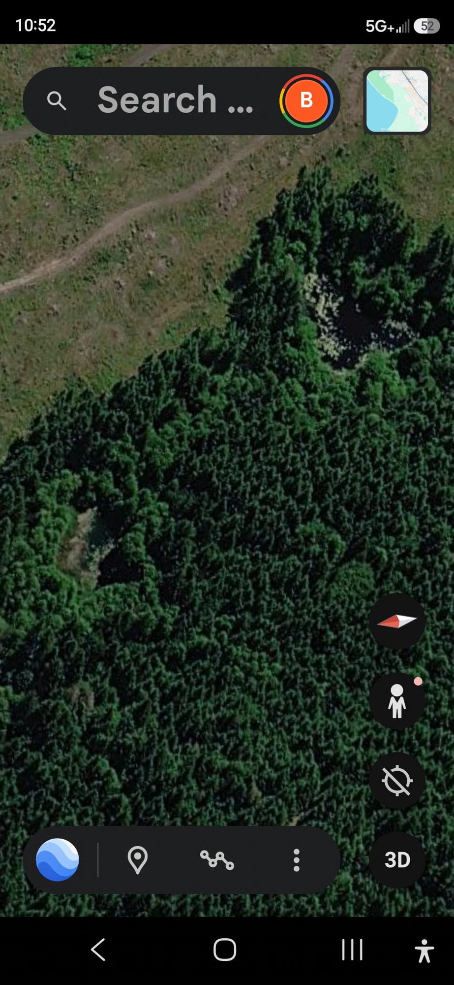 Google Earth 3D top-down close-up showing both ground vents inside the depression — the paired spring-hole openings in the tree canopy