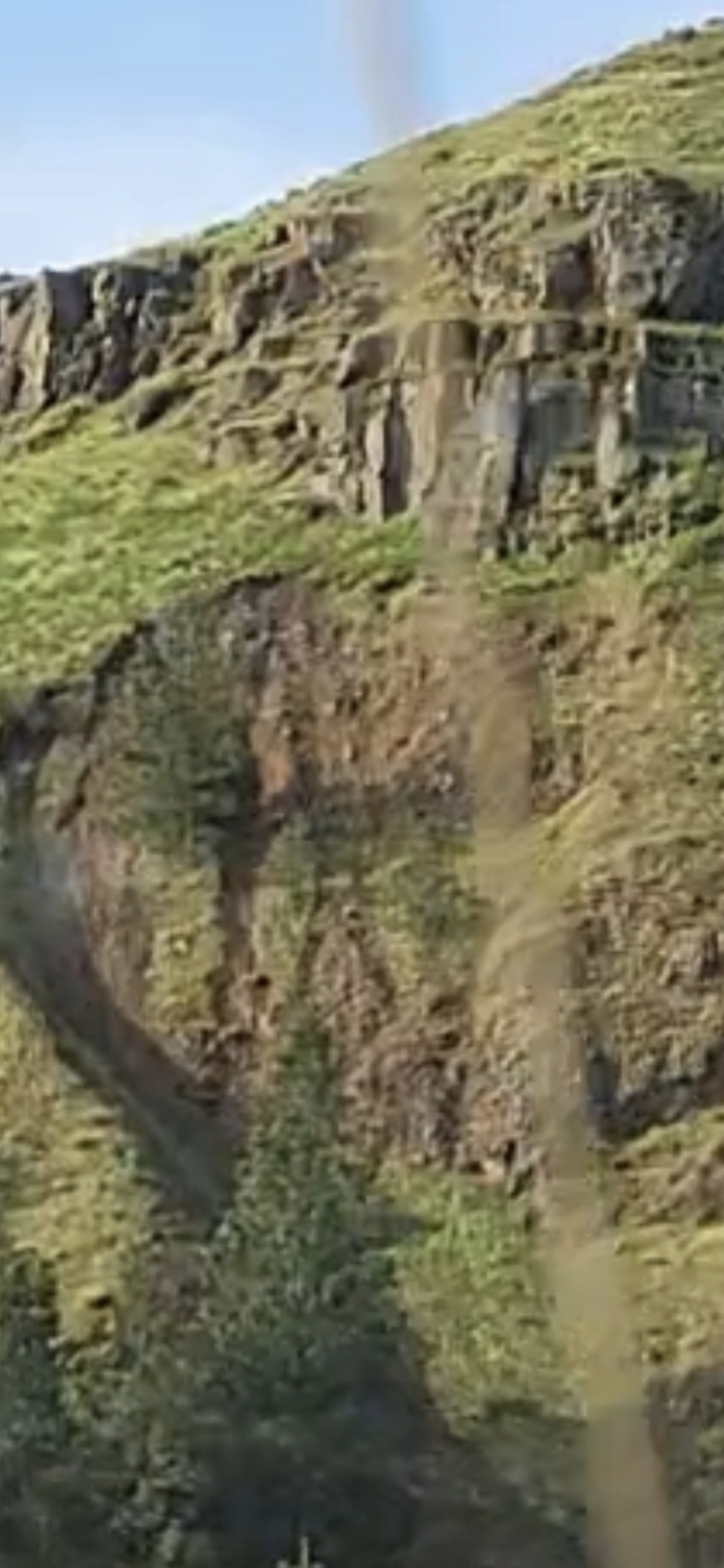 Zoomed raw unprocessed crop of the hillside carving at the western entrance of The Dalles Oregon showing the facial geometry with a distinct eye feature and an adjacent green monitor sphere observation node carved or placed into the south facing basalt and grass slope pending contrast enhanced versions inbound from the Perceiver