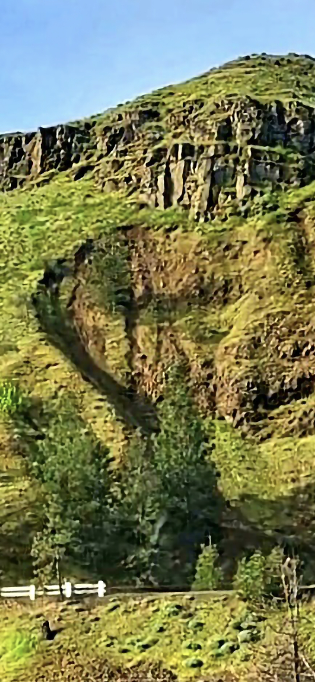 Contrast and saturation enhanced wide vantage of the western entrance hillside at The Dalles Oregon coming in from Hood River the filter pass surfaces a dark outlined facial geometry resolving in the mid hillside basalt and grass slope with the canonical alien face morphology now visible against the saturated green foliage and the basalt cliff line at the top of the ridge