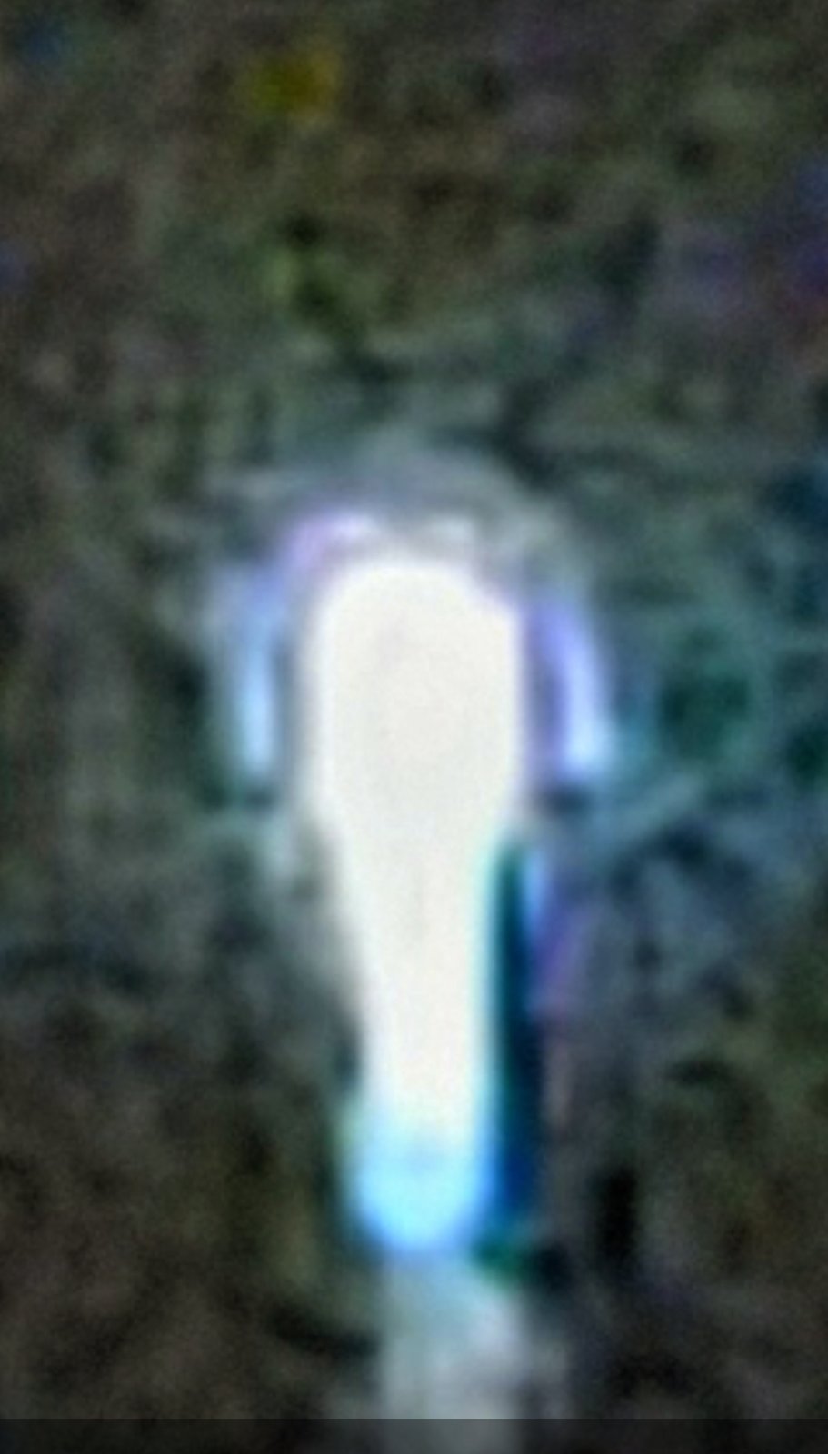 Full body length view of a larger UAP Elemental class entity showing complete elongated luminous form from top to base against forest backdrop with arched cap and trailing energy column — reclassified from Bridge of the Gods set after closer inspection of body morphology